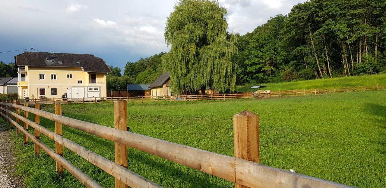 Haus Seidendorf Apartment Sankt Kanzian am Klopeiner See Bagian luar foto